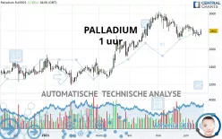 PALLADIUM - 1 uur