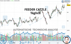 FEEDER CATTLE - Täglich