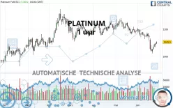 PLATINUM - 1 uur