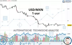 USD/MXN - 1 uur