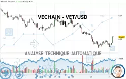 VECHAIN - VET/USD - 1H