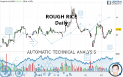 ROUGH RICE - Daily