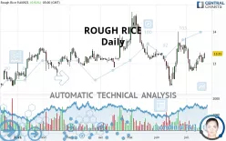 ROUGH RICE - Daily