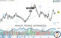 WHEAT - 1H