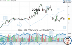 CORN - 1H