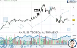 CORN - 1H