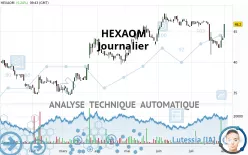 HEXAOM - Journalier