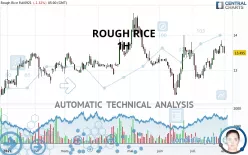 ROUGH RICE - 1H