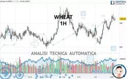 WHEAT - 1H