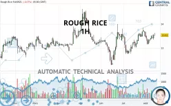 ROUGH RICE - 1H