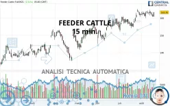 FEEDER CATTLE - 15 min.