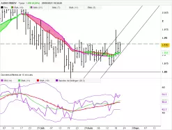 AUDAX RENOV - Journalier