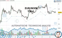 EUR/MXN - 1 Std.