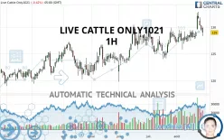 LIVE CATTLE ONLY1021 - 1H