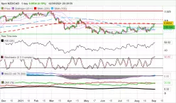 NZD/CAD - Daily