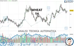 WHEAT - 1H