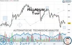 PALLADIUM - 1 uur