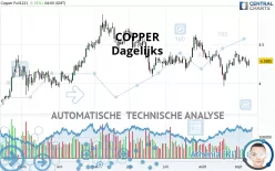 COPPER - Dagelijks