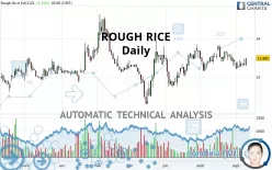 ROUGH RICE - Daily