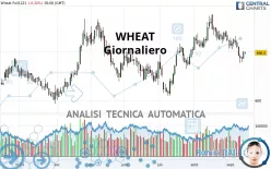 WHEAT - Giornaliero