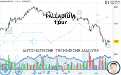 PALLADIUM - 1 uur