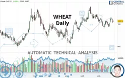 WHEAT - Diario