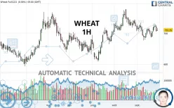 WHEAT - 1H