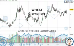 WHEAT - Giornaliero