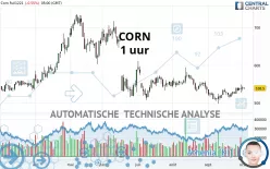 CORN - 1 uur