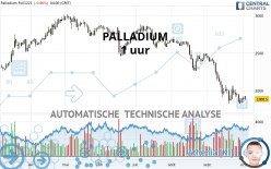 PALLADIUM - 1 uur