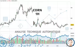 CORN - 1H