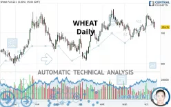 WHEAT - Diario