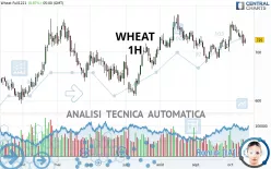 WHEAT - 1H