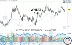 WHEAT - 1H