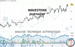 WAVESTONE - Daily