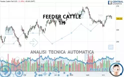 FEEDER CATTLE - 1H