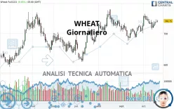 WHEAT - Giornaliero