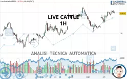 LIVE CATTLE - 1H