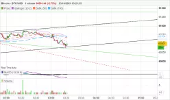 BITCOIN - BTC/USD - 1 min.