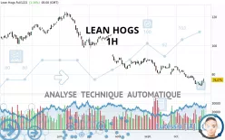 LEAN HOGS - 1H