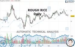 ROUGH RICE - Daily