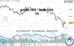 SHIBA INU - SHIB/USD - 1 Std.