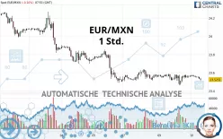 EUR/MXN - 1 Std.