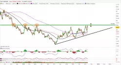 USD/ZAR - Journalier