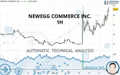 NEWEGG COMMERCE INC. - 1H