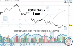 LEAN HOGS - 1 uur