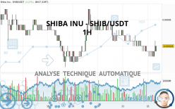 SHIBA INU - SHIB/USDT - 1H