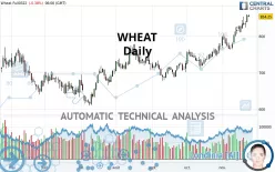 WHEAT - Diario