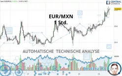 EUR/MXN - 1 Std.