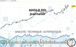 AHOLD DEL - Diario